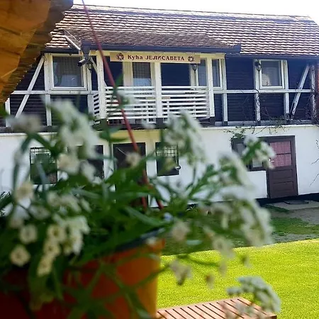 Domacinstvo Cikic Zasavica Guest House Exterior photo
