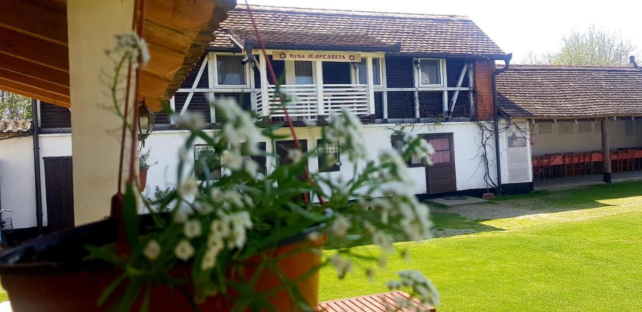 Country house Domacinstvo Cikic Zasavica