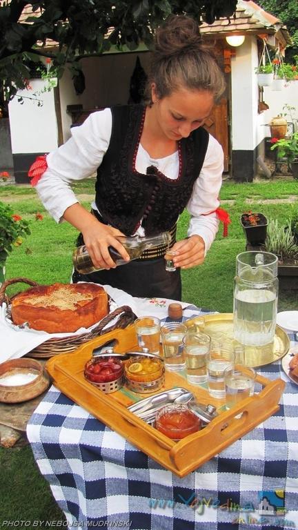 Domacinstvo Cikic